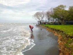 Cek 5 Lokasi Wisata di Bekasi Cocok buat Liburan Akhir Pekan Bareng Kelurga