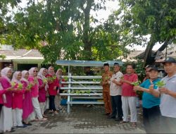 Kades Tridayasakti Tinjau Panen Raya Tanaman Hidroponik Pakcoy Program Pemdes